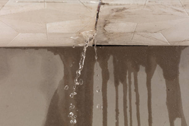 Professional Water Damage Restoration technician working in Lavon, TX